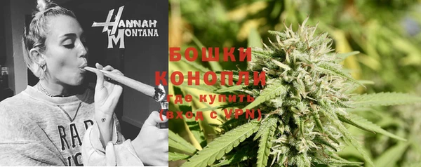 ECSTASY Коряжма